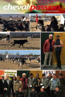 GARD : Remise de récompenses au salon "Cheval Passion" d'Avignon GARD : Remise de récompenses au salon "Cheval Passion" d'Avignon